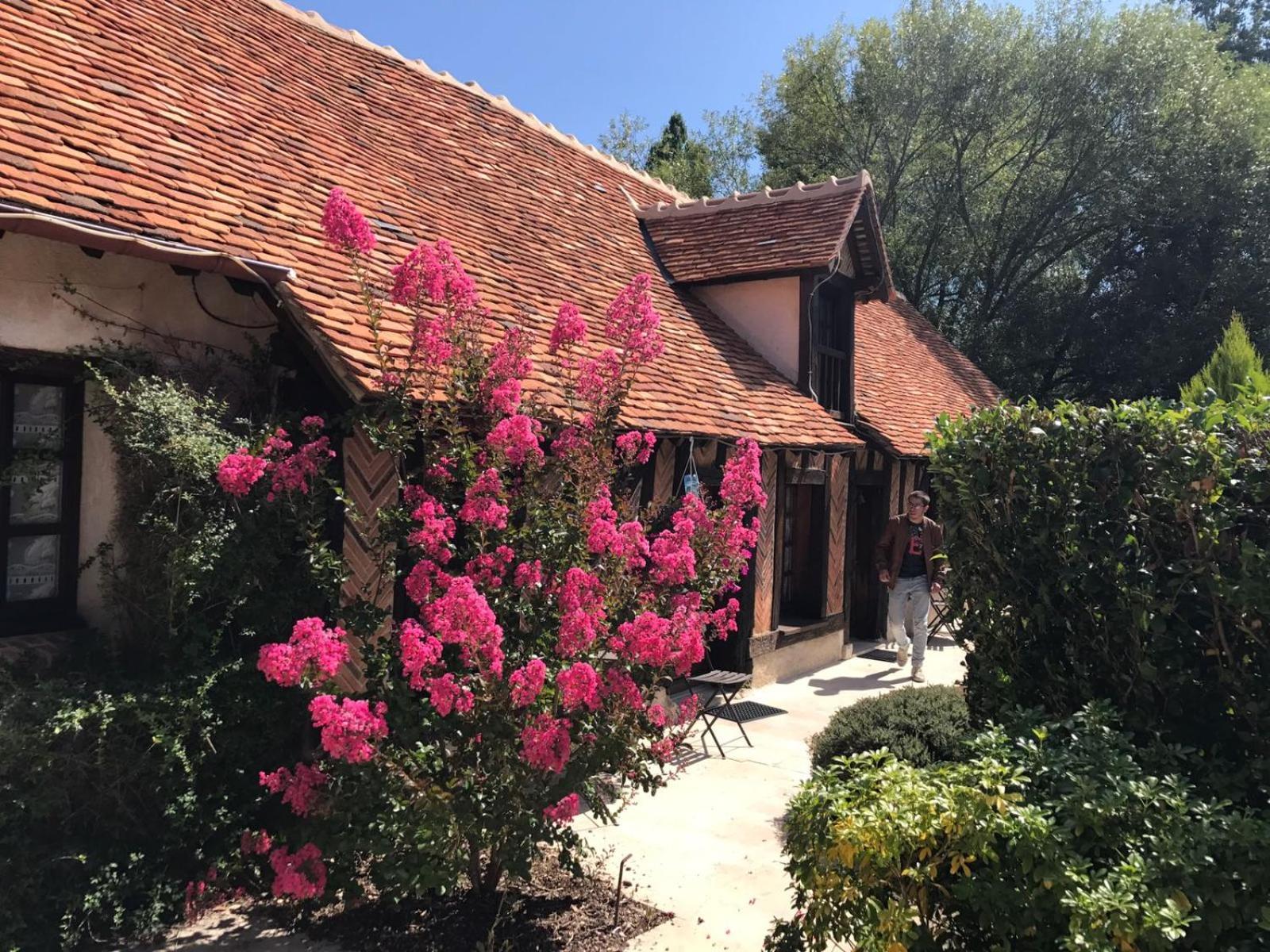 Domaine De Grand-Pas Villa Vernou-en-Sologne Eksteriør billede