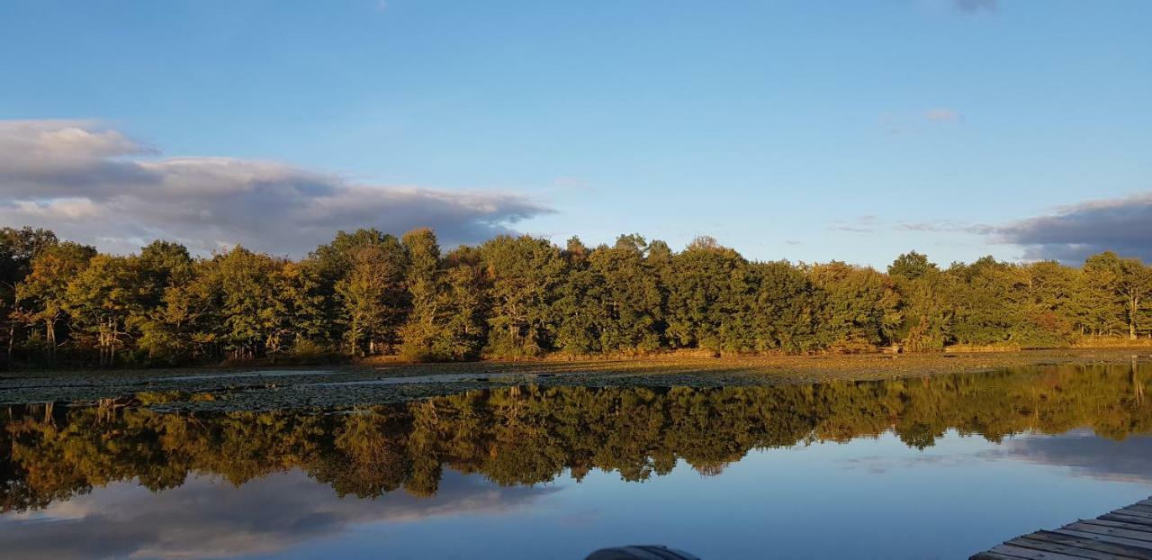 Domaine De Grand-Pas Villa Vernou-en-Sologne Eksteriør billede