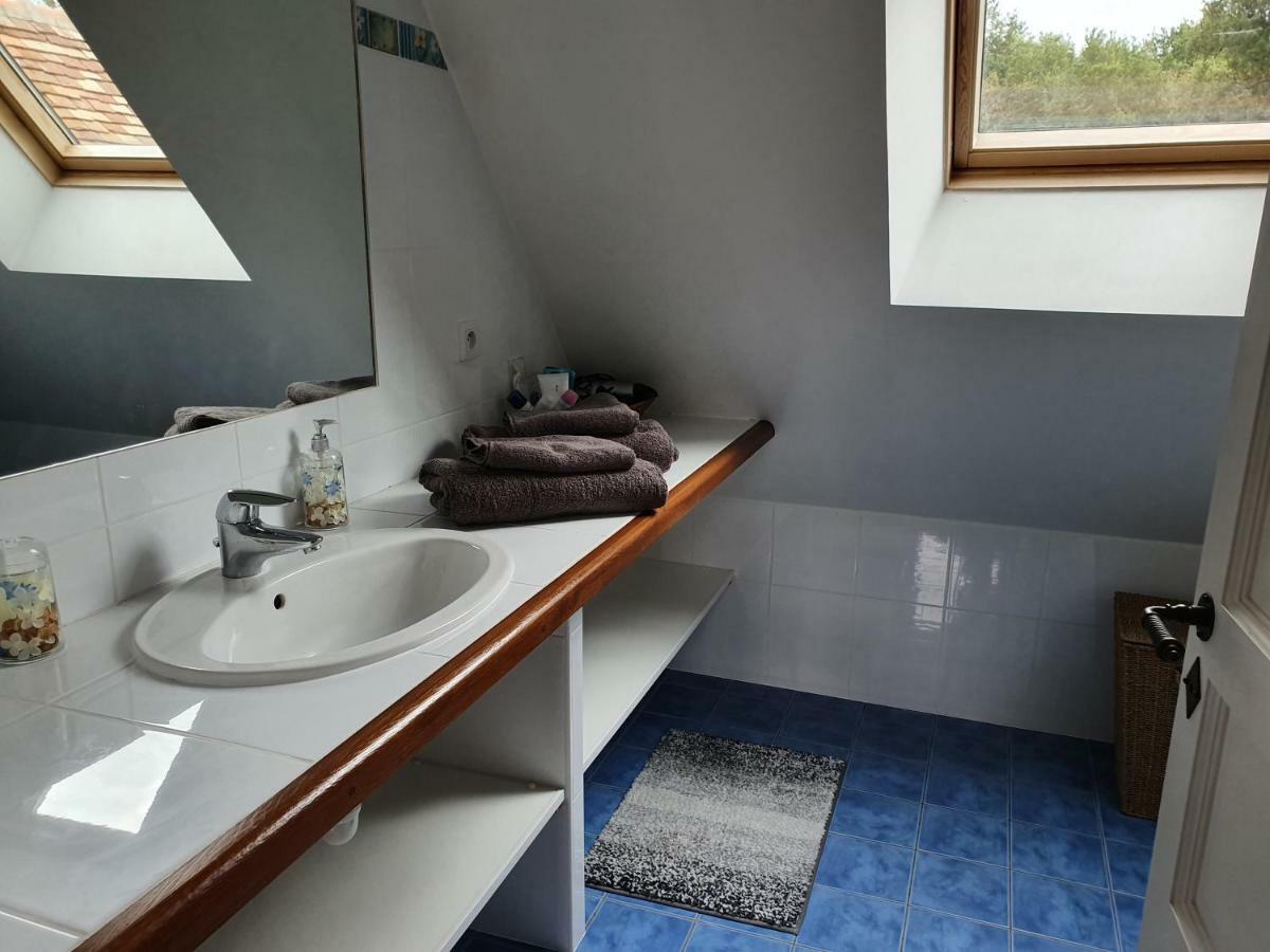 Domaine De Grand-Pas Villa Vernou-en-Sologne Eksteriør billede